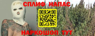 тгк Сланцы