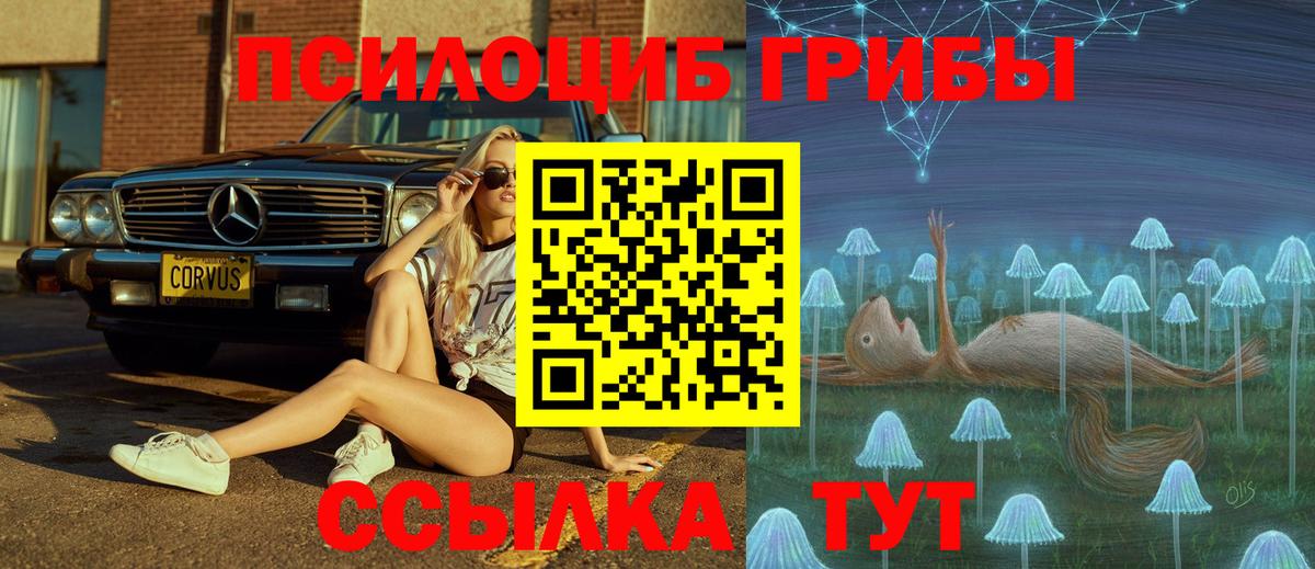 Псилоцибиновые грибы ЛСД Мариинск