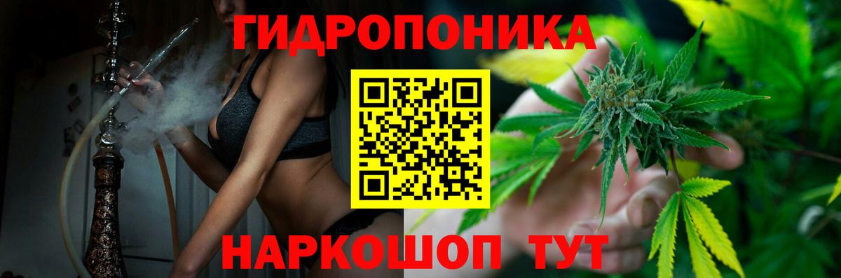 Мариинск  Каннабис Bruce Banner  Конопля гибрид  Бошки марихуана планчик  Вход с VPN 